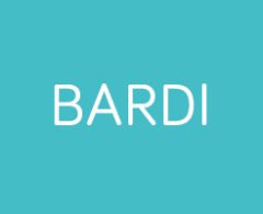 BSI Smart Security - Logo Bardi